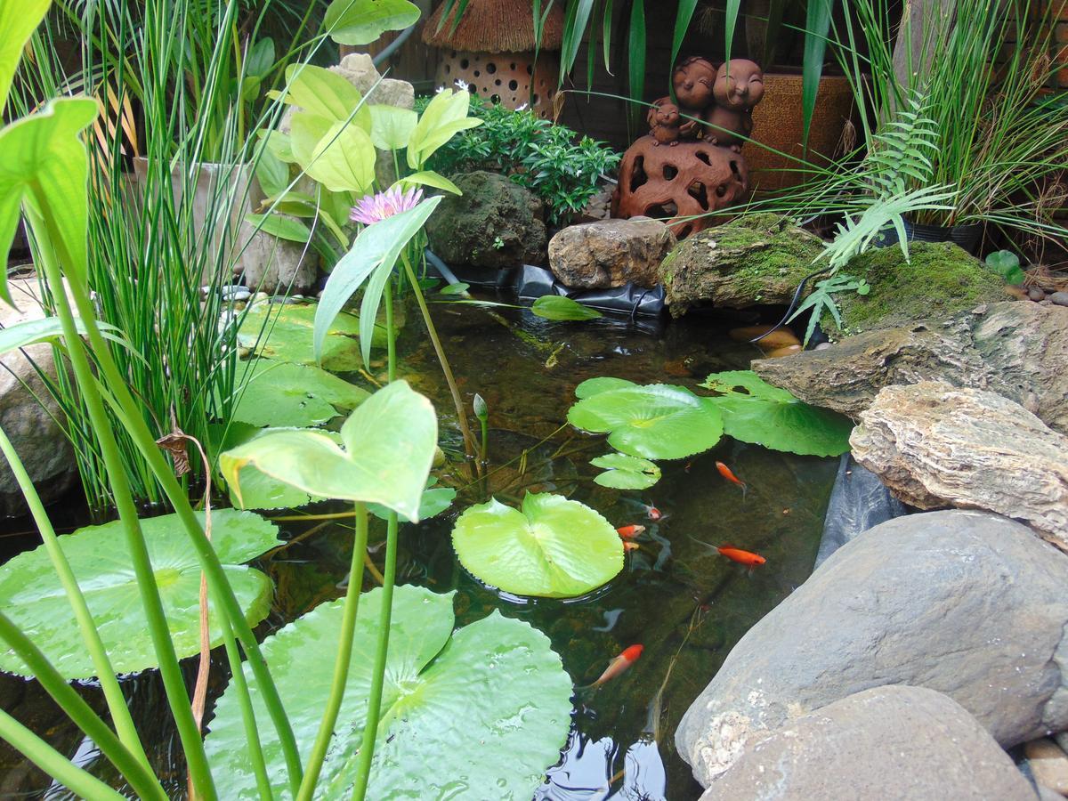 Pha Thai House Чиангмай